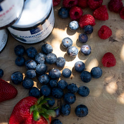 Kuze Fuku Blueberry Premium Spread 11 oz (312g)