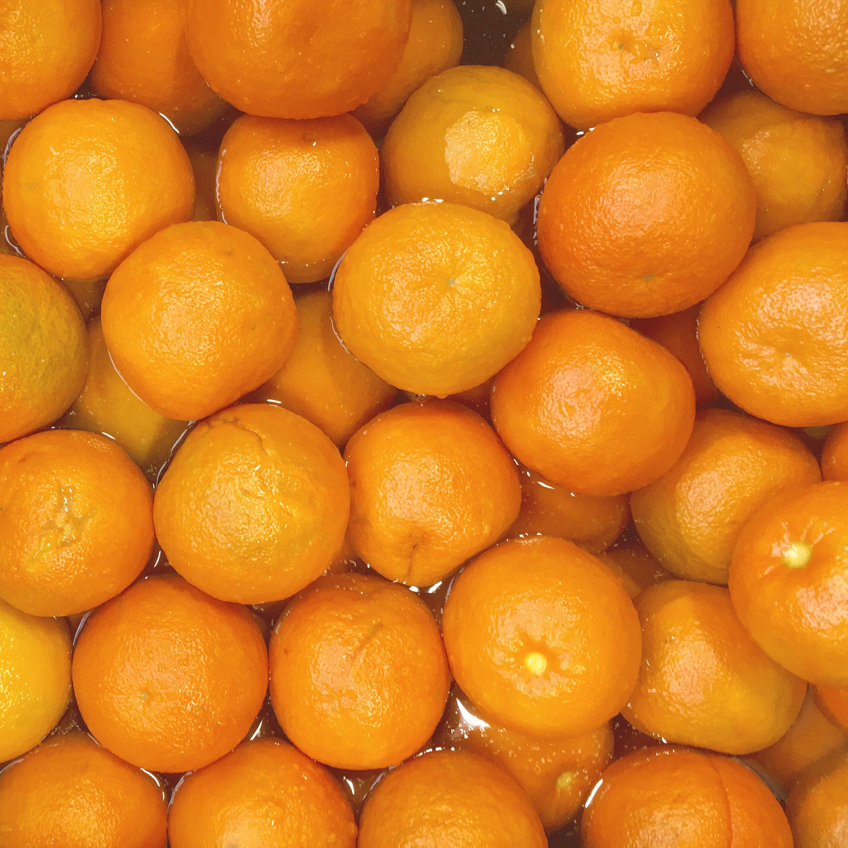 Seville Orange Marmalade