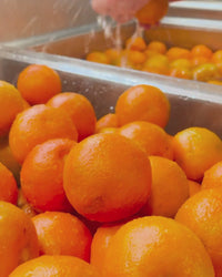 Seville Orange Marmalade