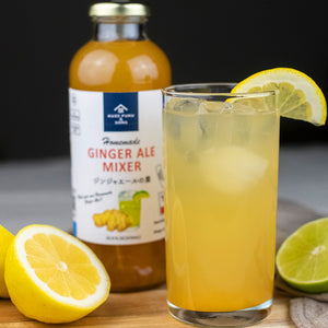 
                  
                    HOMEMADE GINGER ALE MIXER 15.9 FL OZ
                  
                